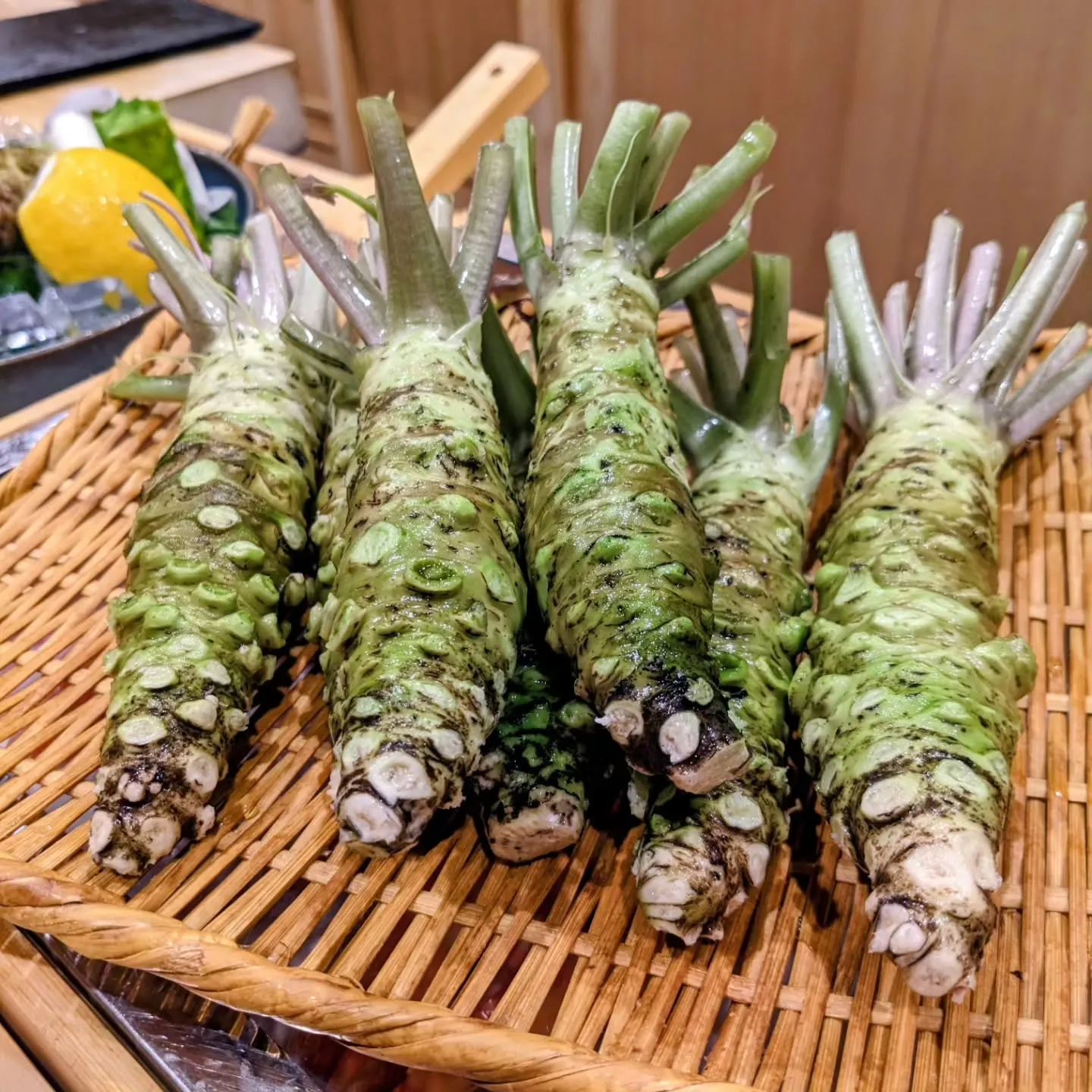 鹿児島の新イカ。