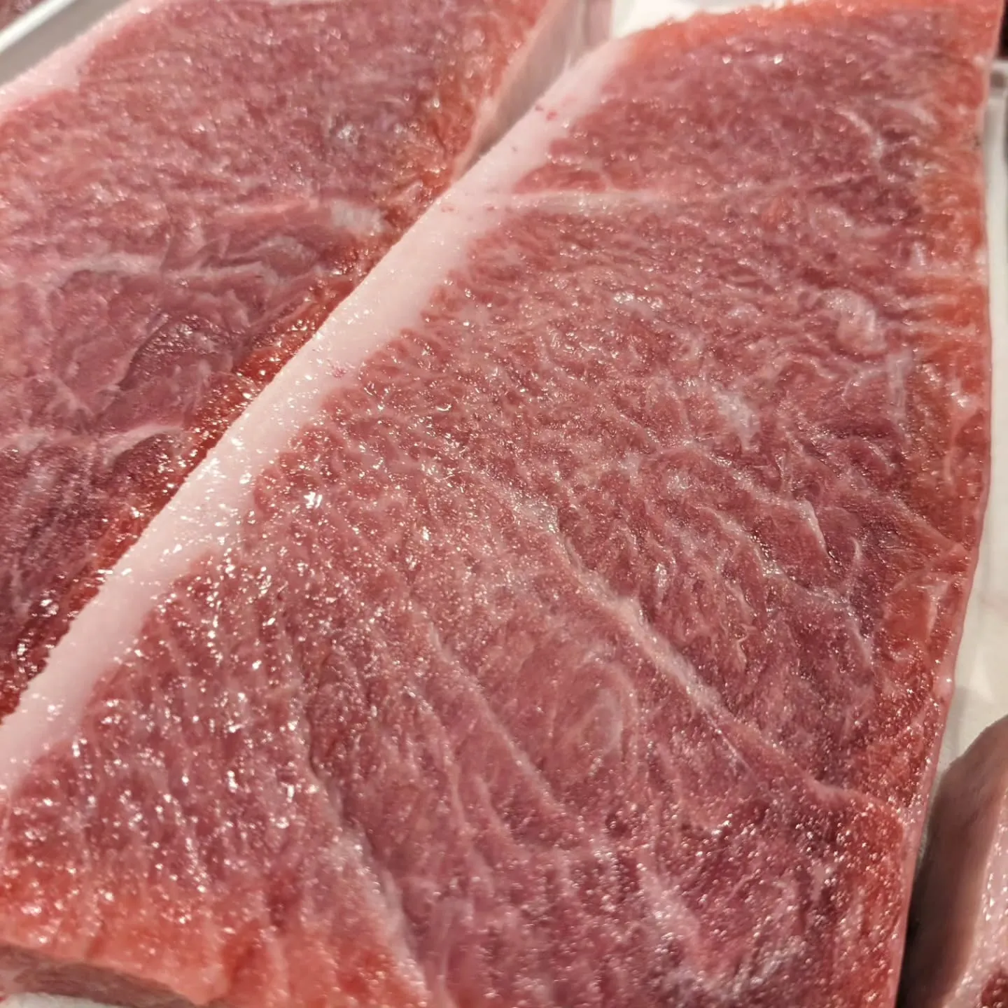 カナダ産の本マグロ。