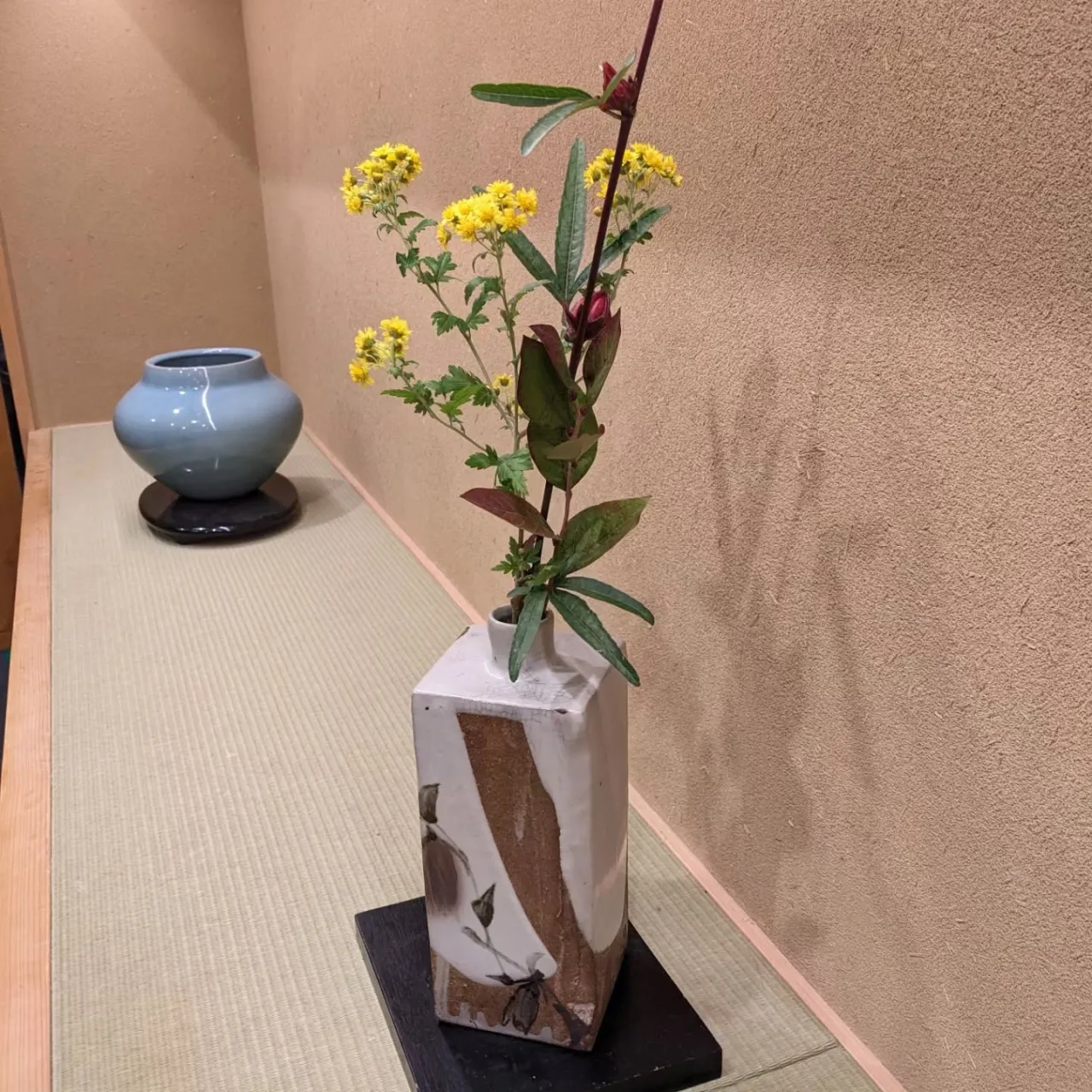 北海道の生ししゃもです。